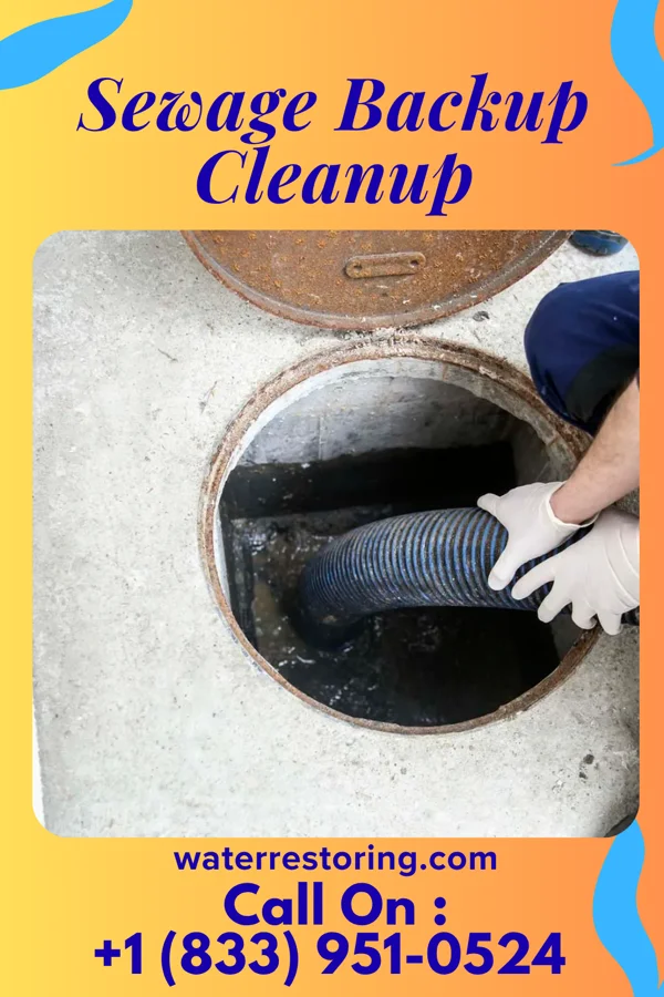 Sewage Backup Cleanup in Oakdale, TN